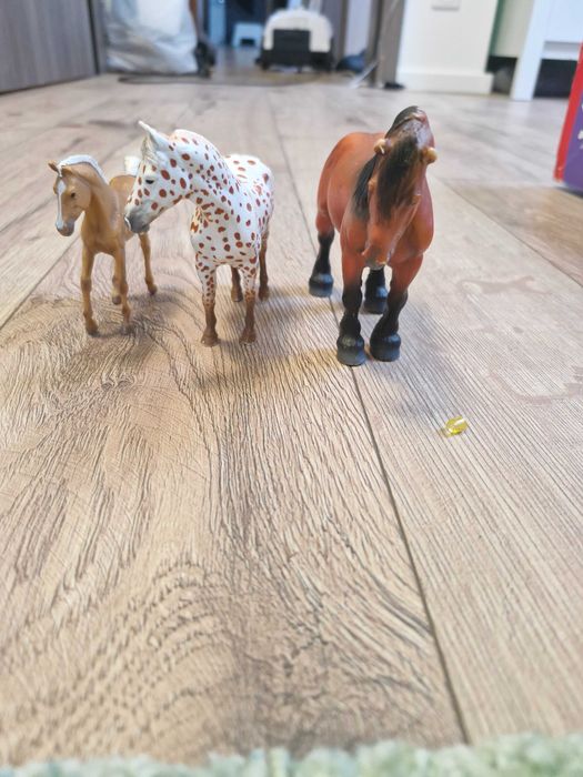 zestaw 3 koni collecta