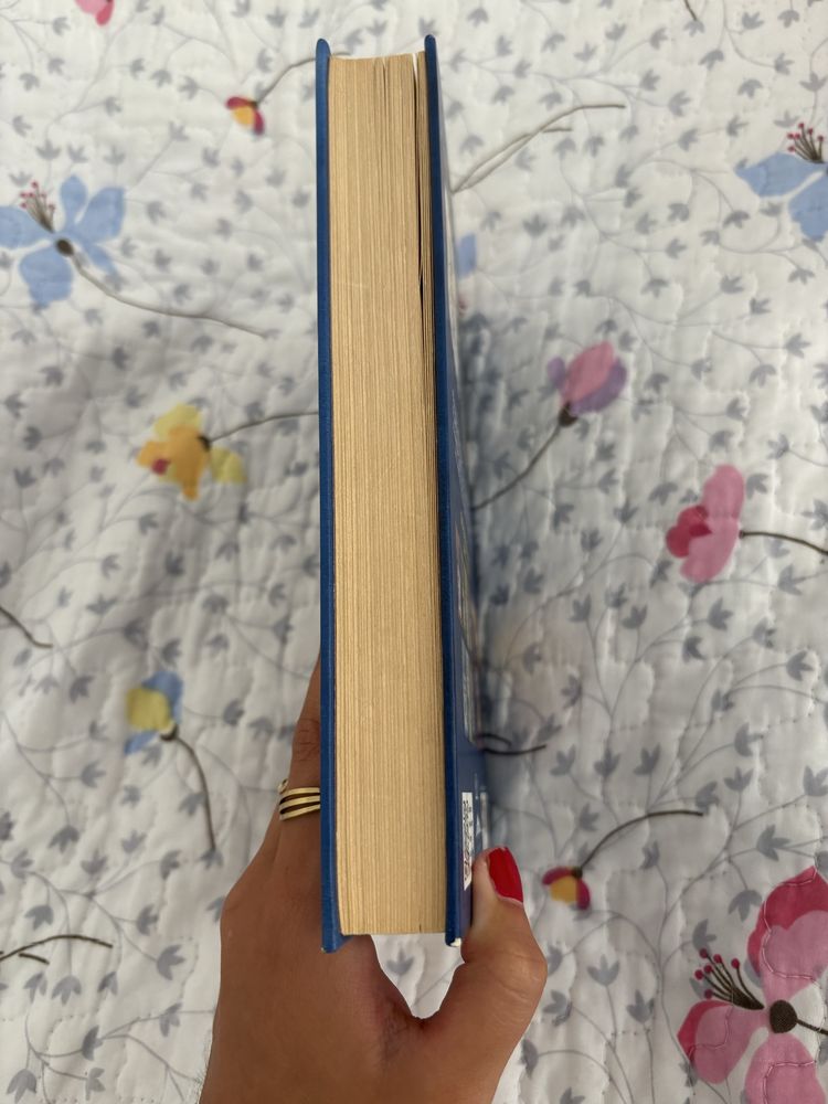 livro diario de um banana