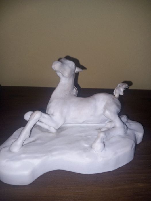 Cavalo Biscuit Vista Aĺegre