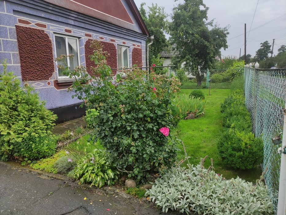 Будинок з присадибною ділянкою