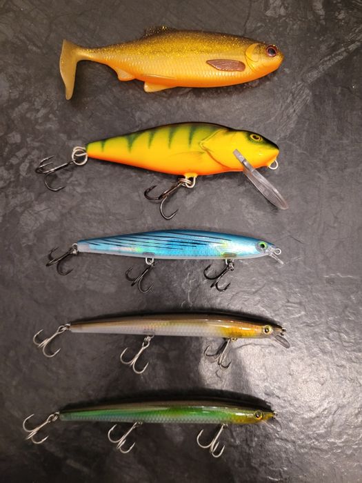 Woblery Rapala max rap + Salmo