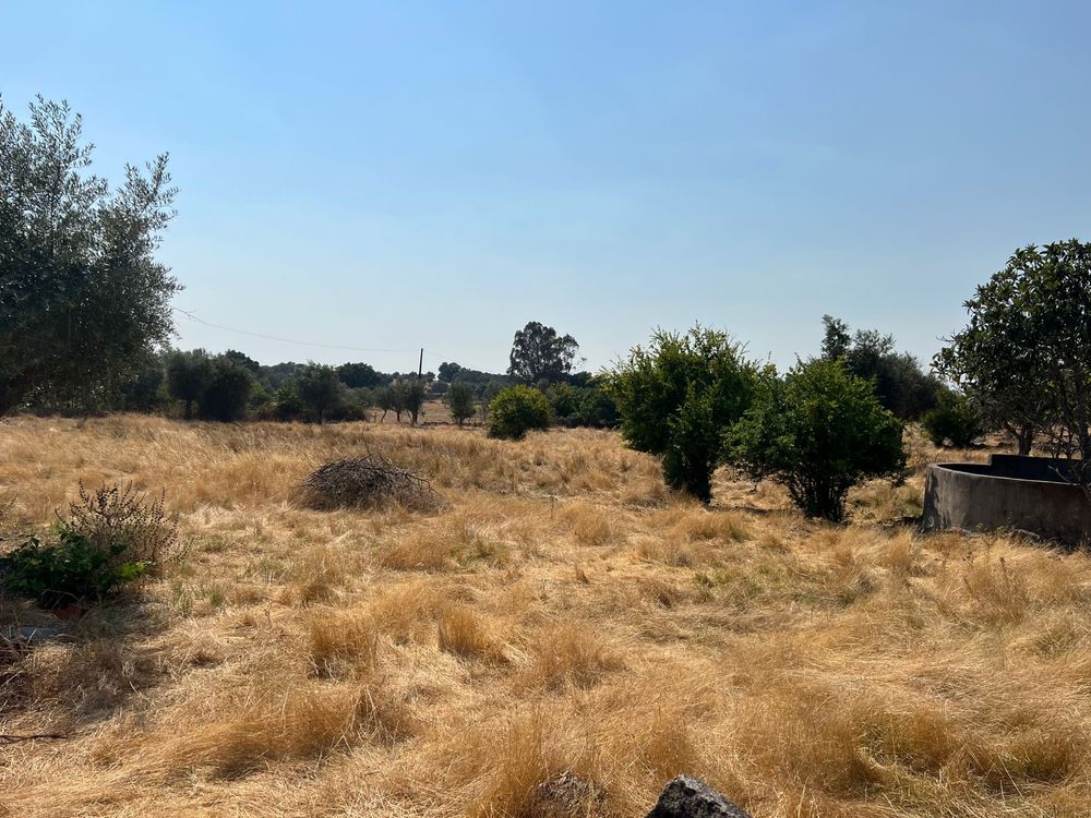 Terreno urbano venda