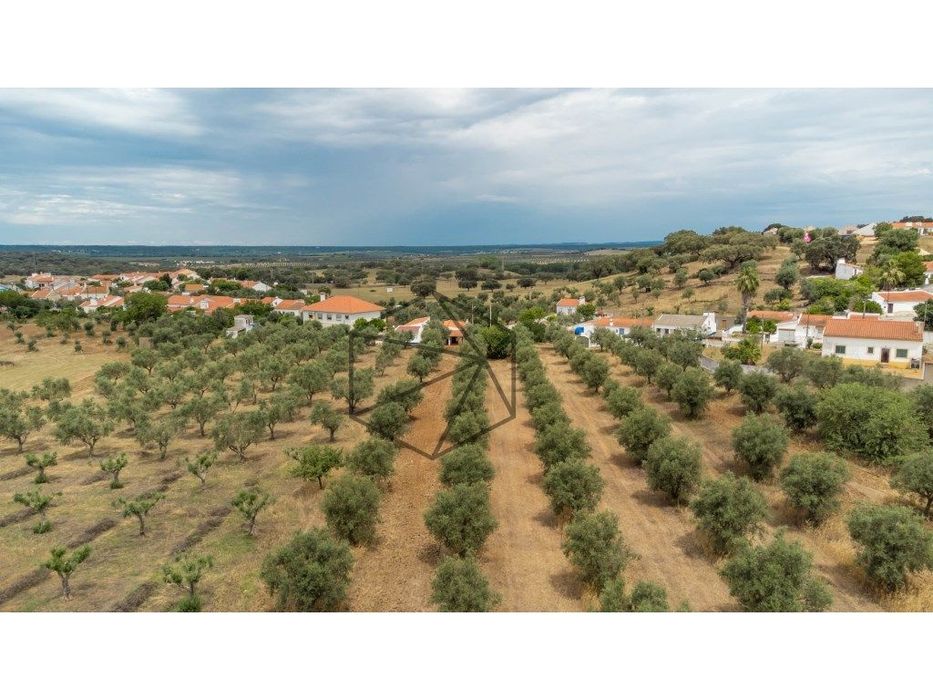 Monte em Avis com 1.2 hectares