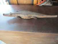 Escultura Crocodilo em Madeira Lourenço Marques 1965