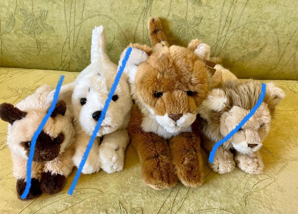 М'які іграшки Anna Club Plush