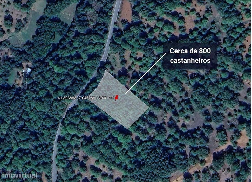 Terreno de 3600 m² em Devez, Tuizelo com Castanheiros à Venda