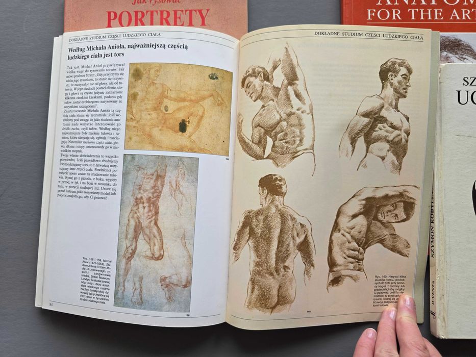 Jak rysować portrety postacie Anatomia dla artystów - Kobyliński