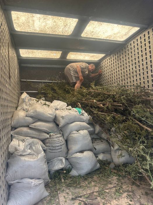 Вивіз сміття строй мусора гілки скошена трава