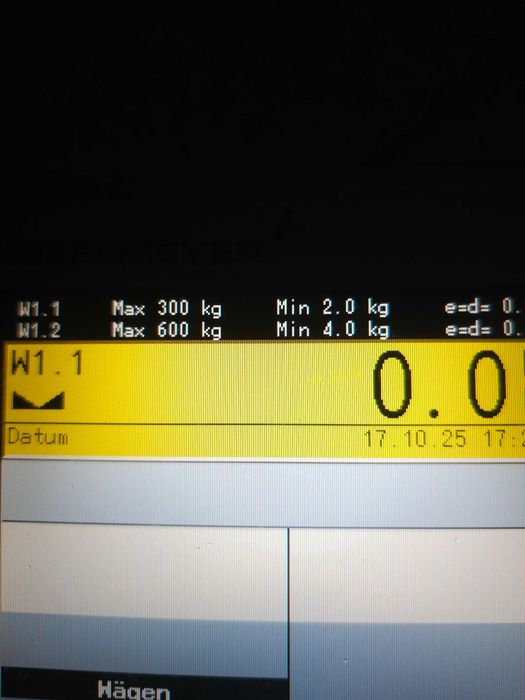 Waga najazdowa nierdzewna 600 kg