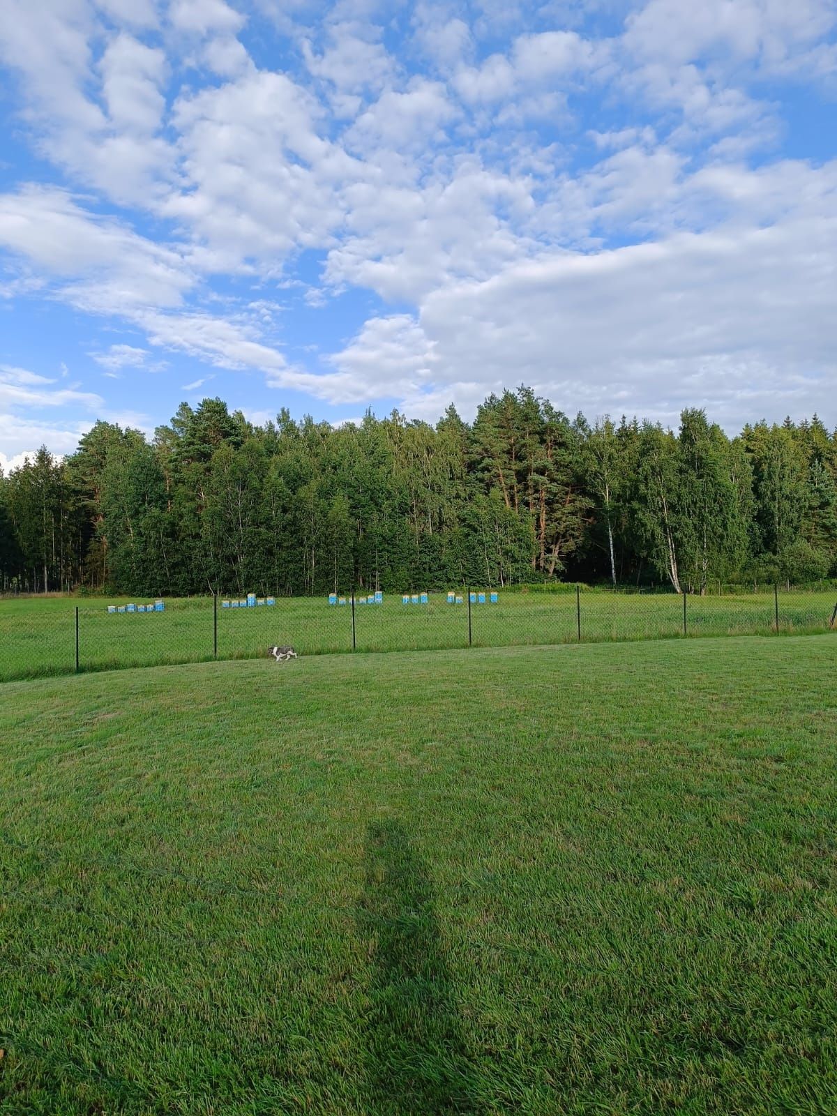 Ziemia rolna 11 hektarów przy lesie, mazury , działki rekreacyjne