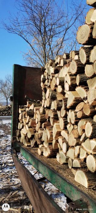 Соснові дрова та обрізки соснові