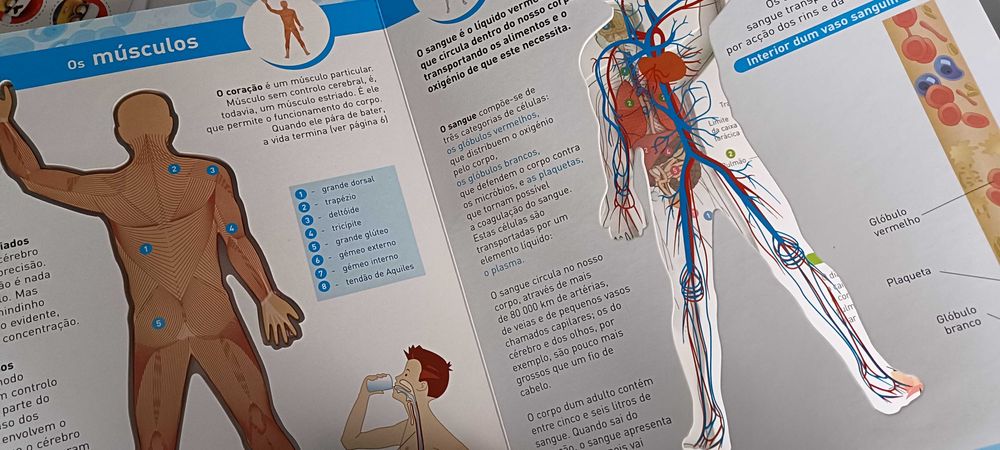 Livro "O corpo Humano"