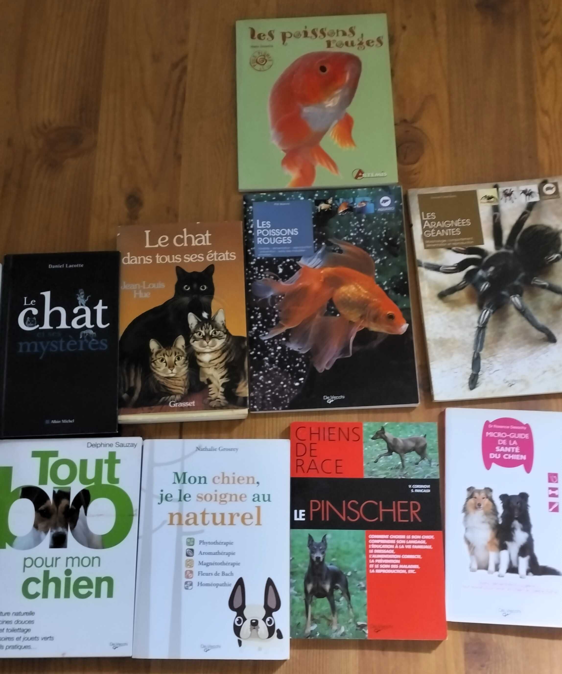 22 livros usados ou novos, portugueses ou franceses.
