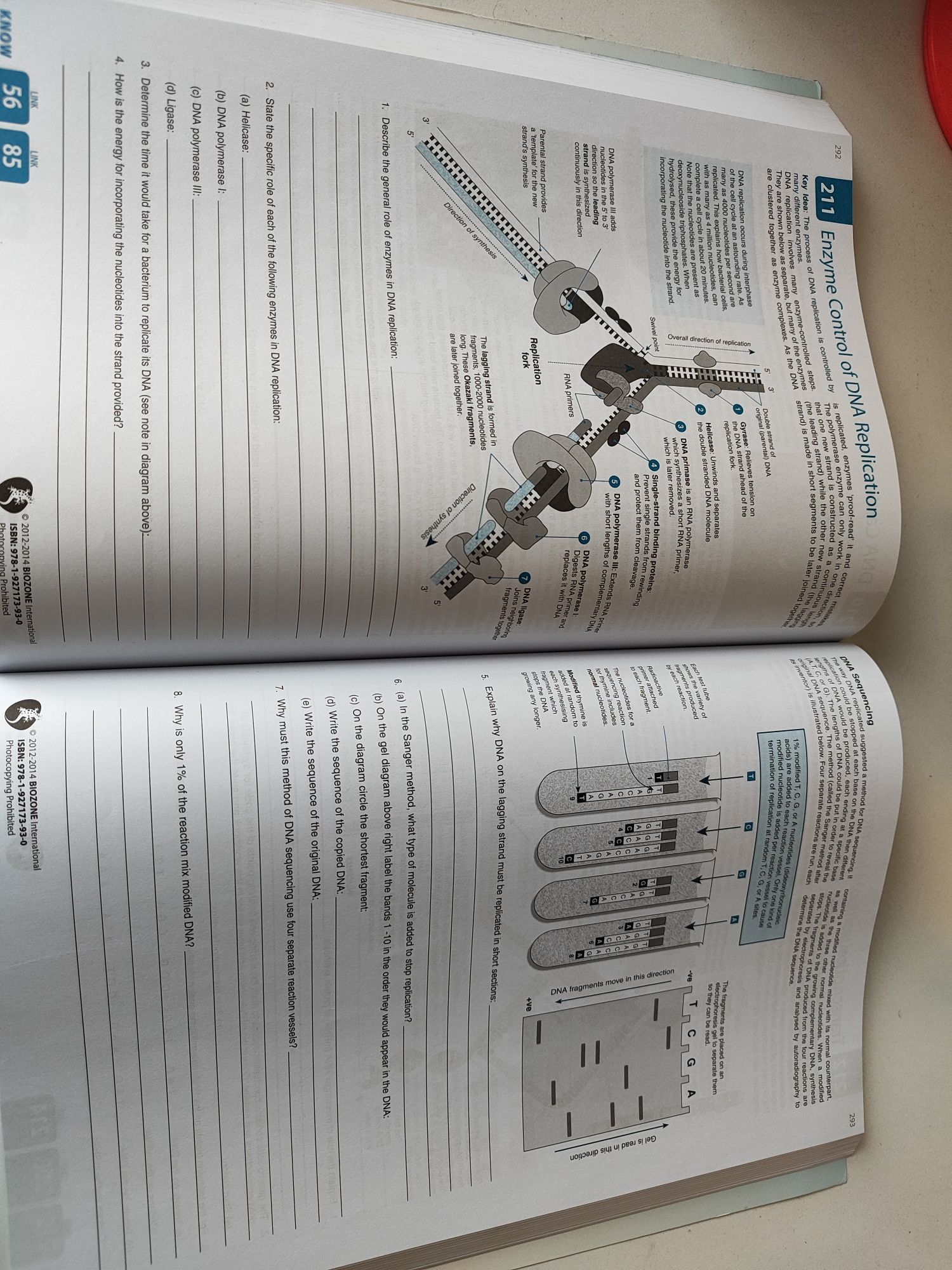 Biozone Biology IB DP Students Workbook