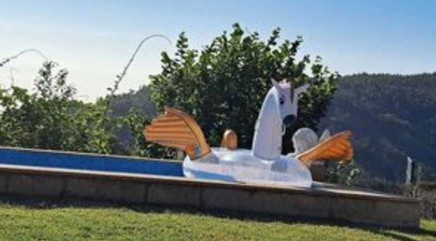 Bóia Pegasus piscina