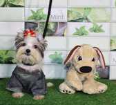 Biewer Yorkshire Terrier miniaturka mini piesek