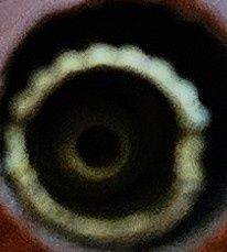 Replika pistoletu (zapalniczka)