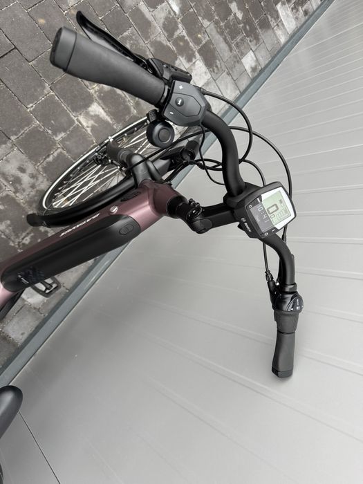 BATAVUS Finez E-go Power mata Sangria