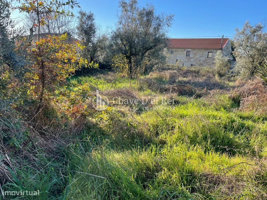 Lote de Terreno  Venda em Campo,Viseu