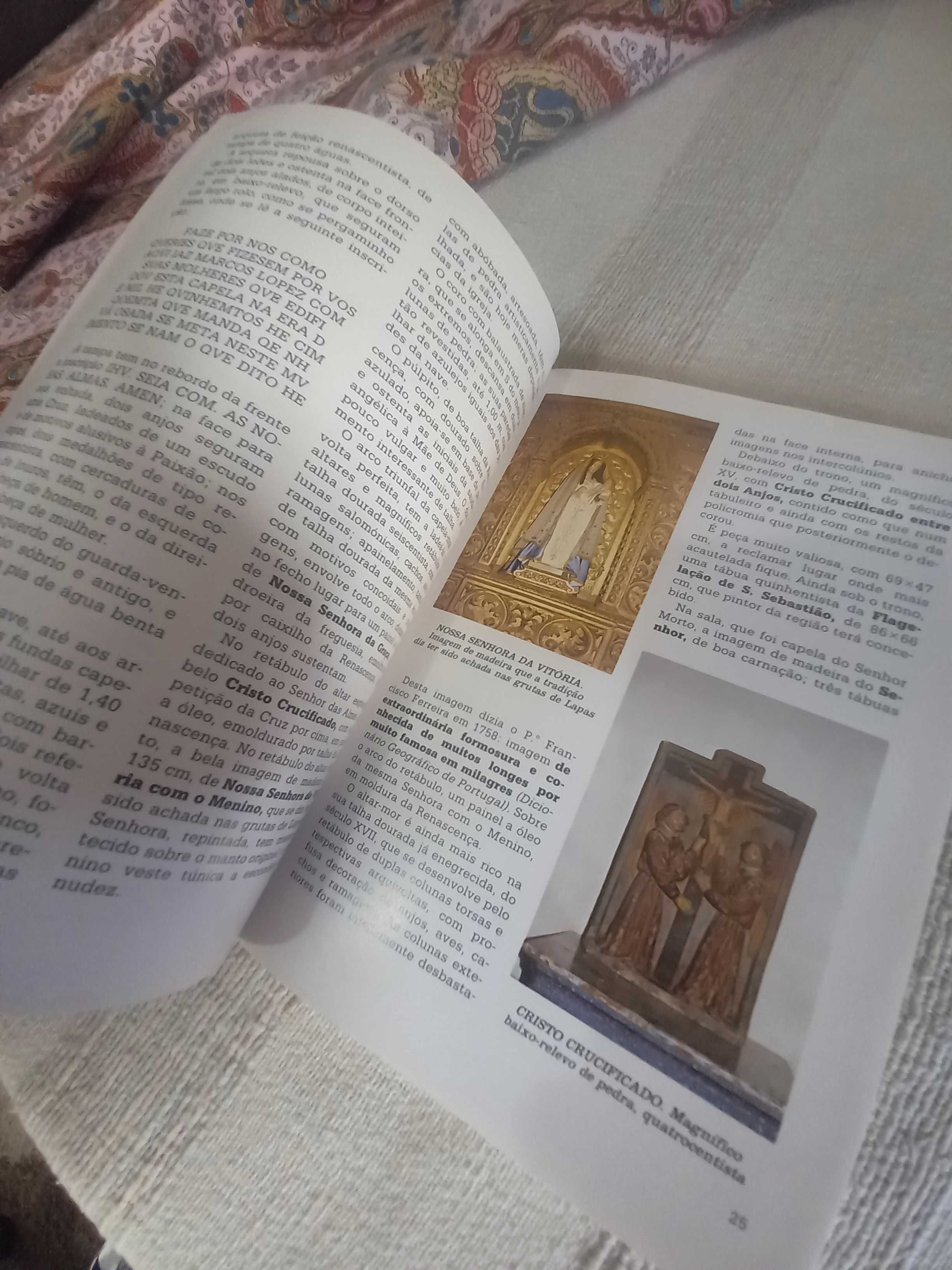 Património Artístico do Concelho de Torres Novas