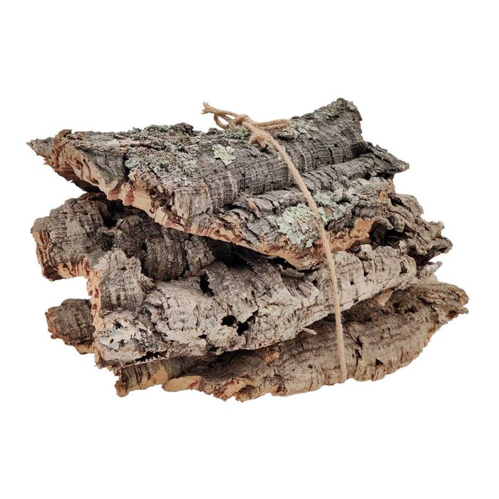 Conjunto Pranchas de cortiça