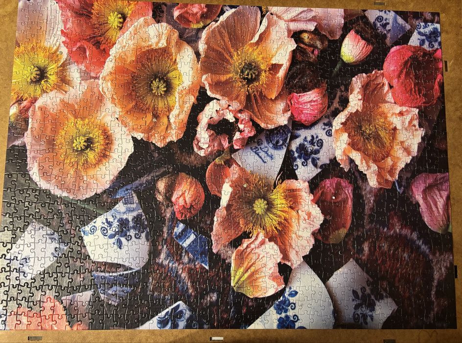 Puzzle Cruny 1000 el.