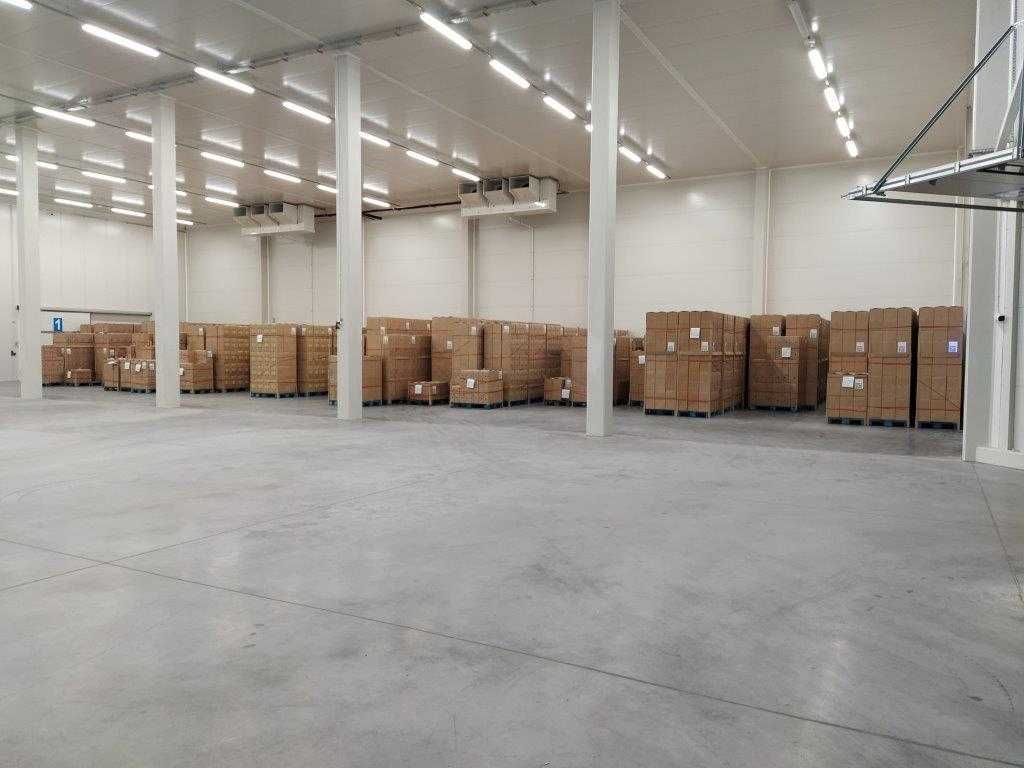 Magazyn paletowy klasa A - 1500m2 do wynajęcia