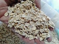 Вівсяні пластівці мішок 20 кг