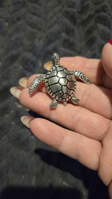 Broszka żółw srebrny.