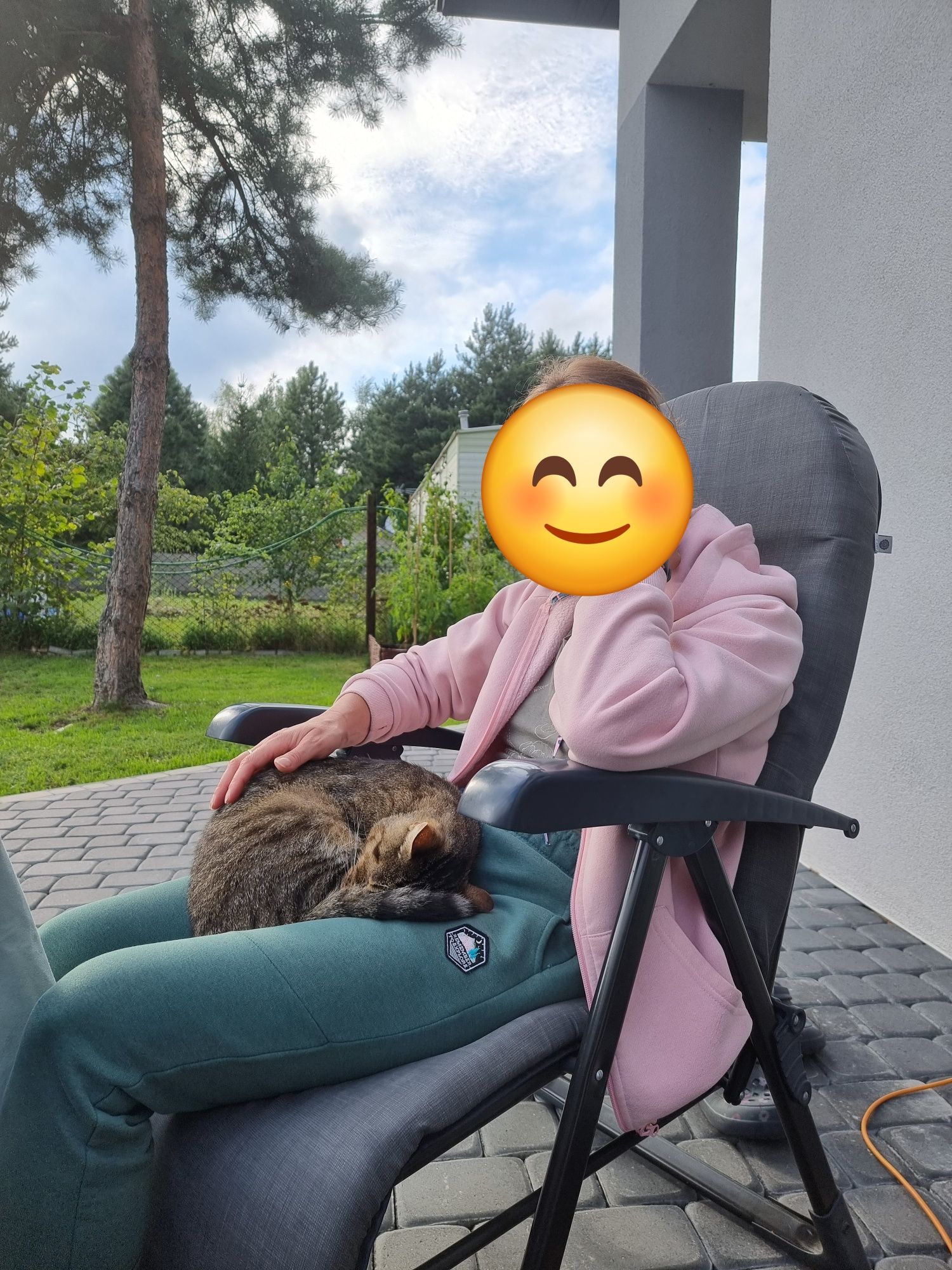 Dwuletni wykastrowany Borysek do adopcji
