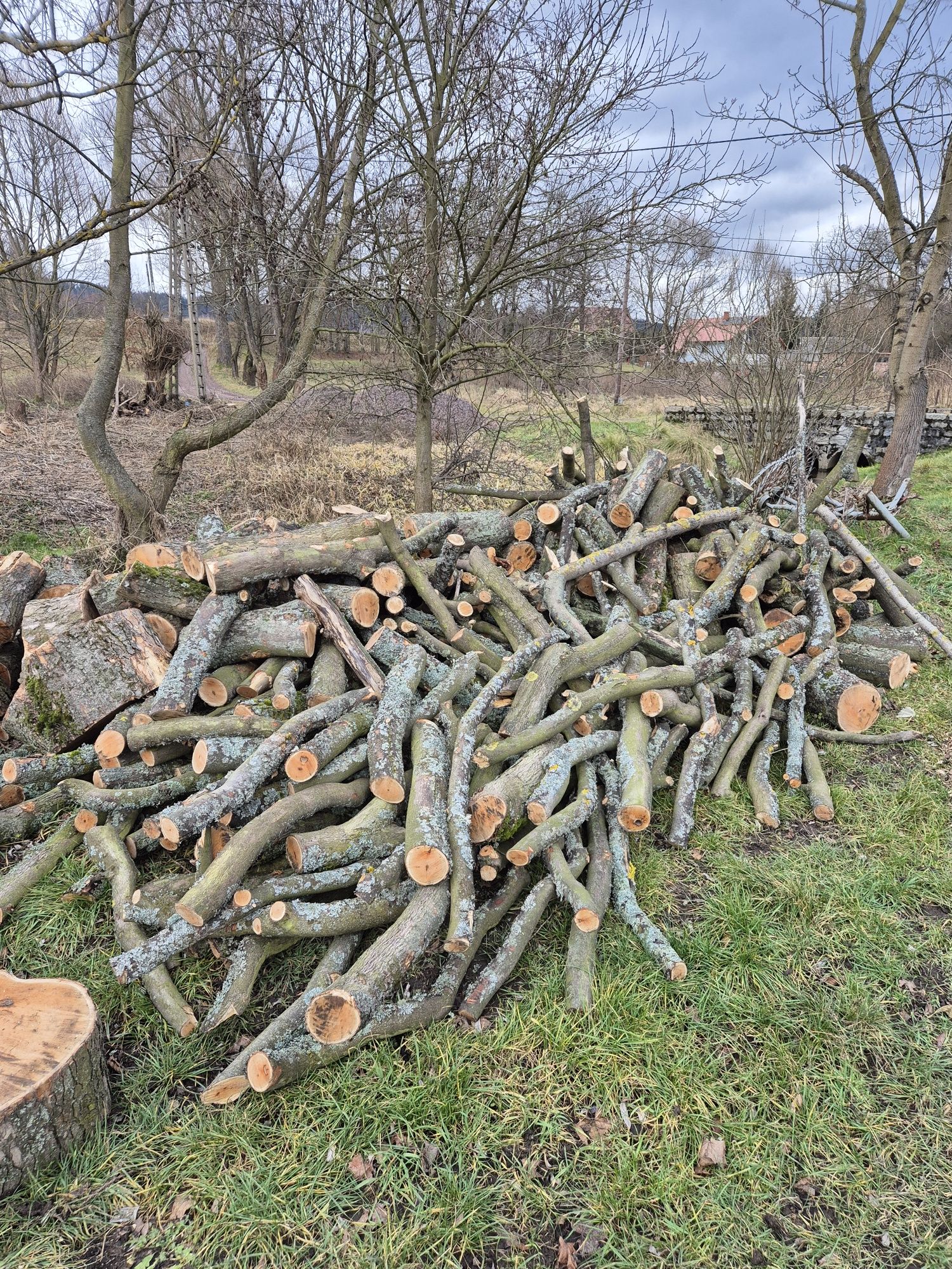 Drewno opałowe liściaste