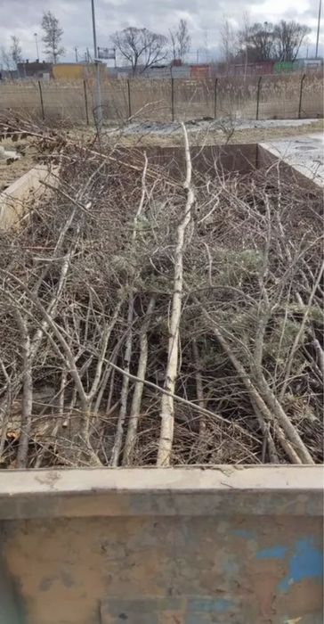 Вивіз мусора, сміття, грузчики, краща ціна по Києву