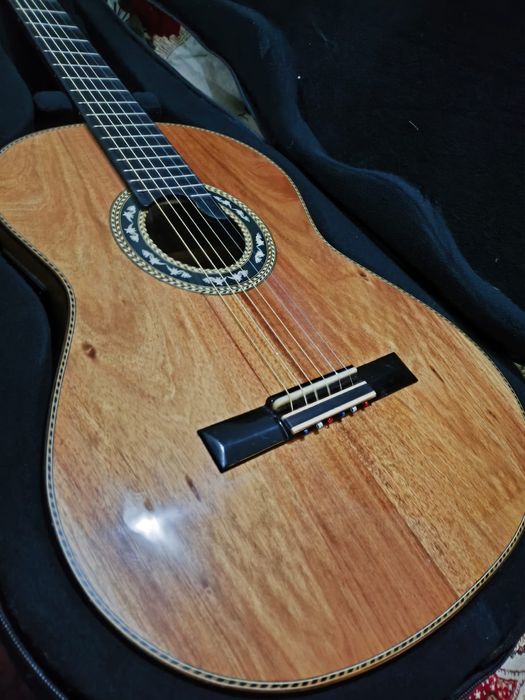 Guitarra APC Antonio Carvalho modelo 506