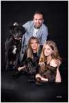 CANE CORSO pies z Najlepszej  Hodowli In Verto Corso FCI