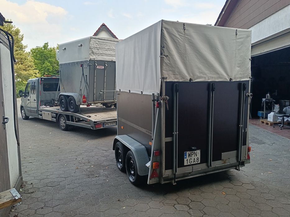 Sprzedam przyczepy do koni lub innych zwierząt na kat B Dmc 1200 kg