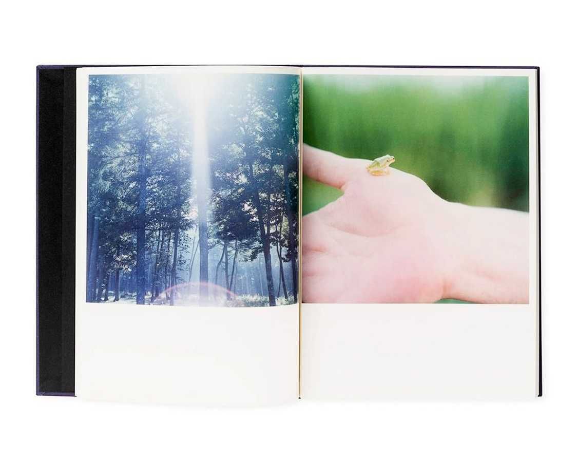 Книга Rinko Kawauchi: Illuminance