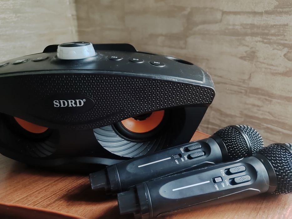 Портативна блютуз колонка, з караоке системою