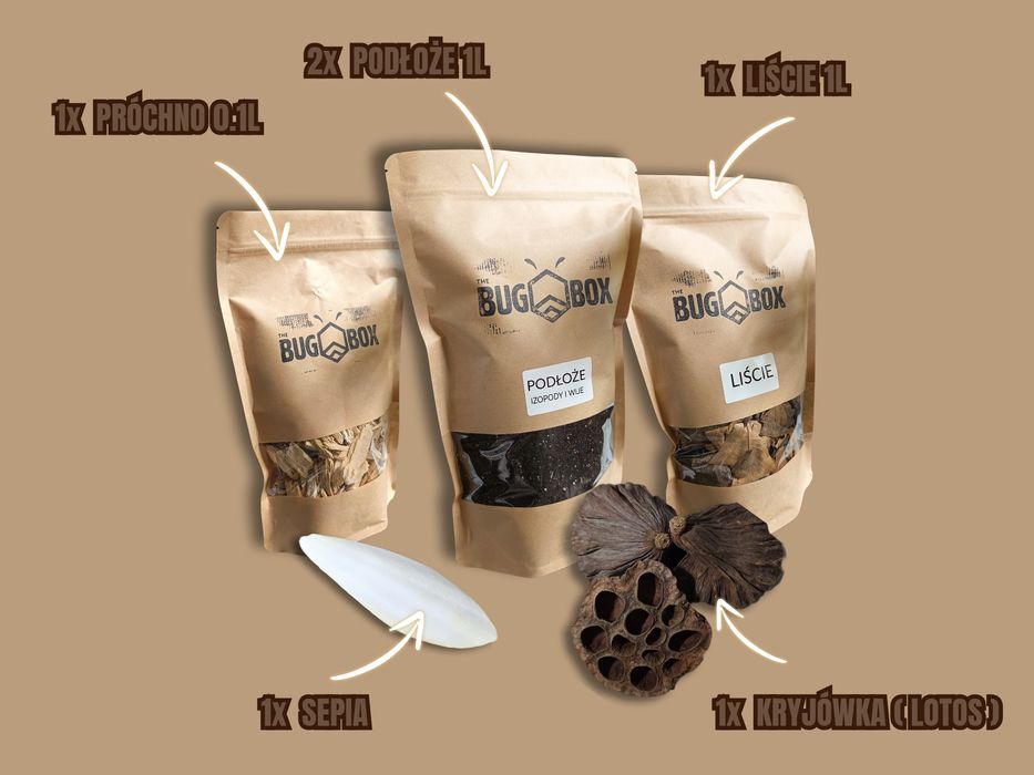 Zestaw do hodowli izopodów ekipa sprzatająca terrarium