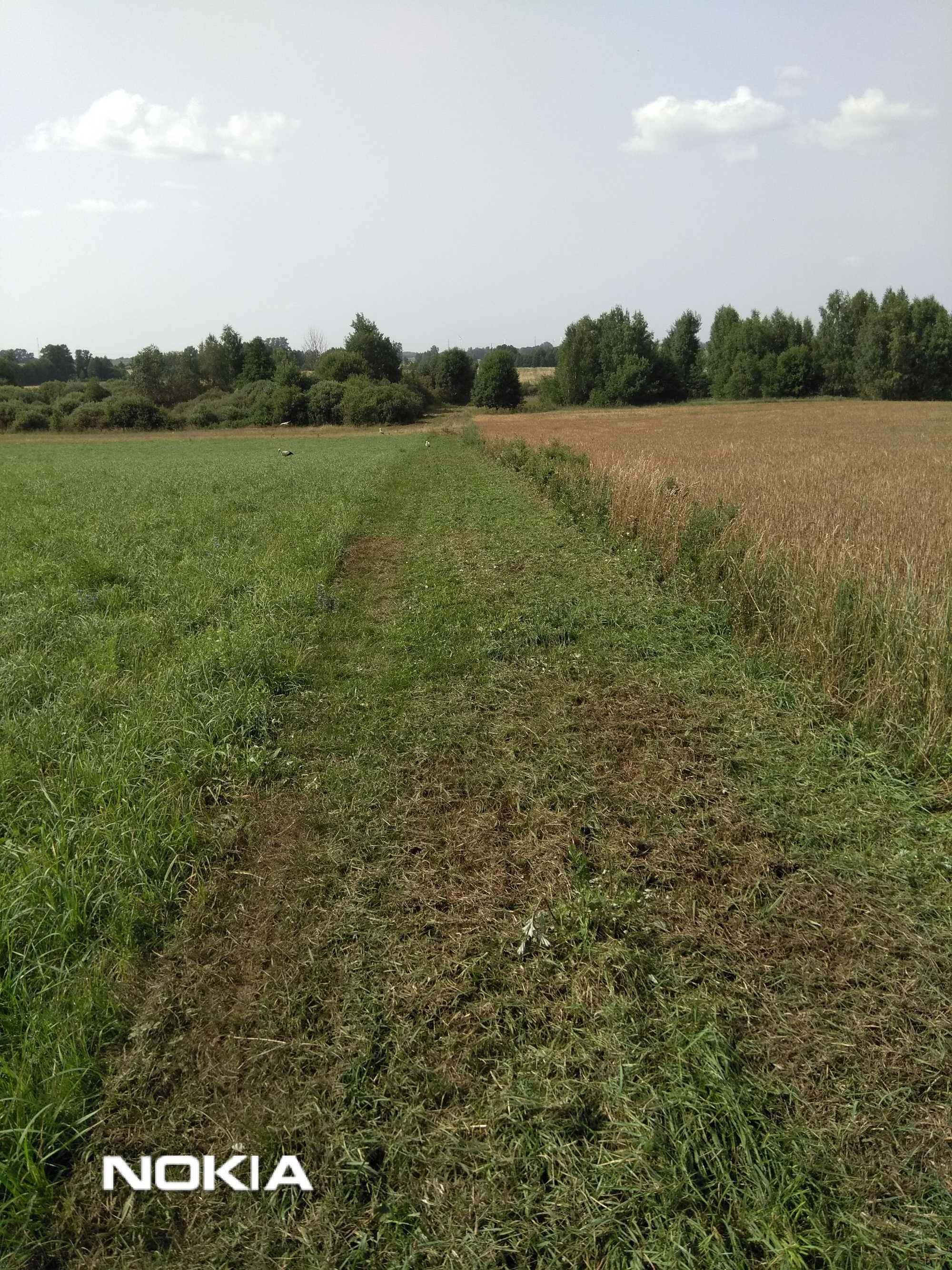 duża działka budowlana uzbrojona okolica Suwałk, szkoła, przedszkole