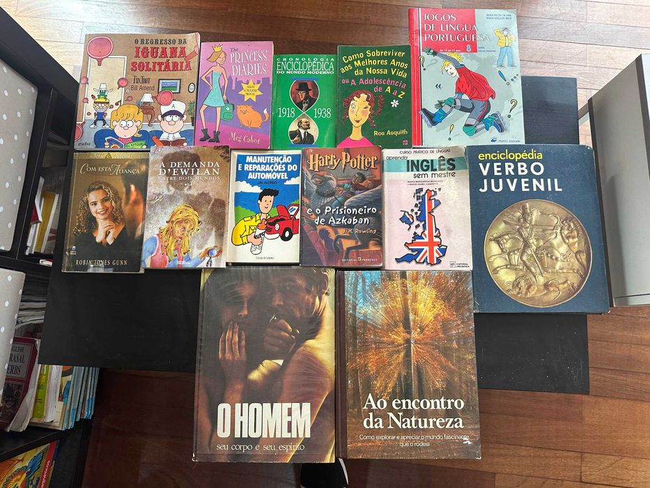 Lote de 13 livros variados — infantis, juvenis e enciclopédias