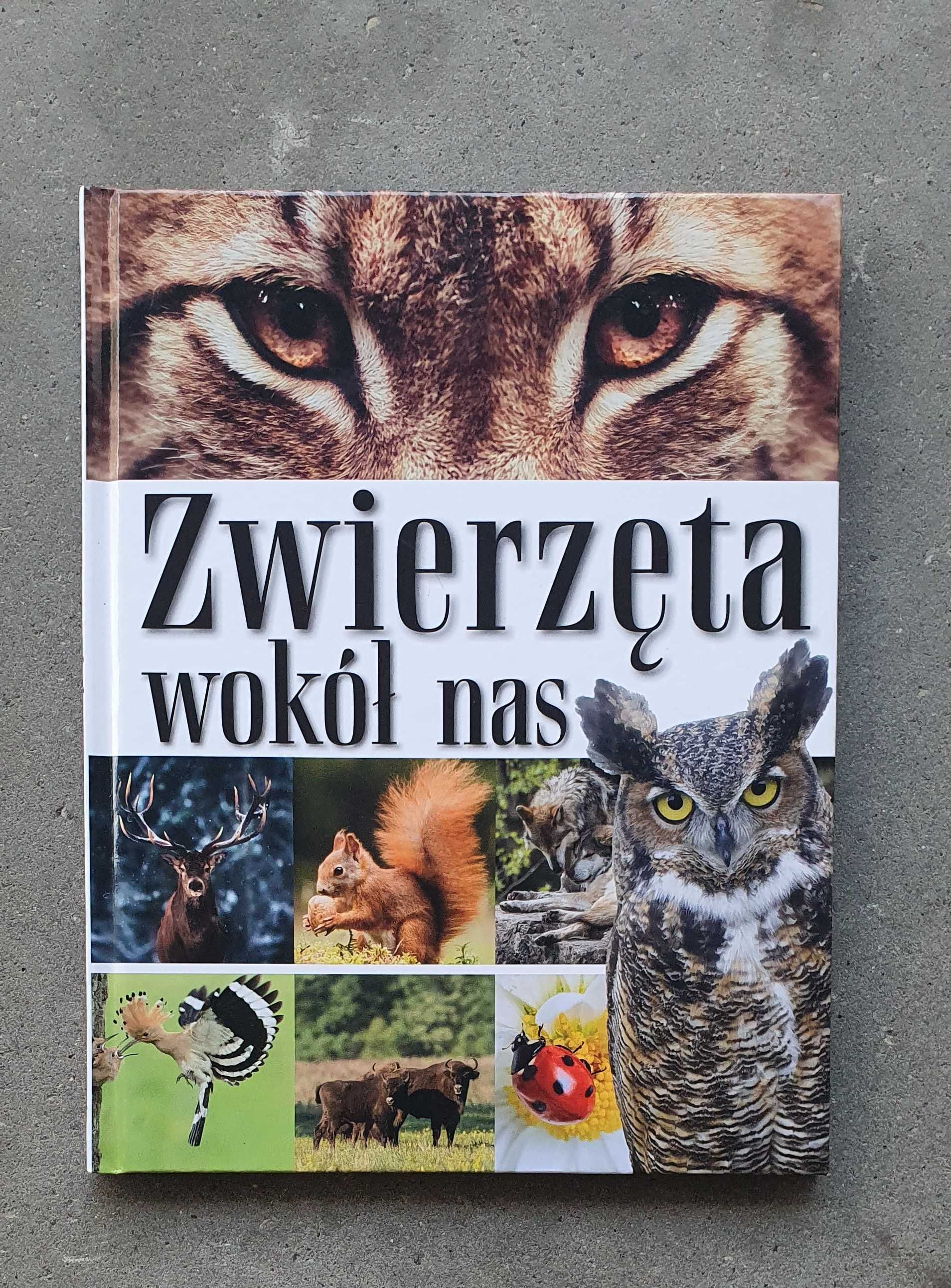 Książka dla dzieci  Zwierzęta wokół nas Omnibus