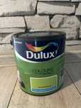 Dulux colours of the world las równikowy 2,5l