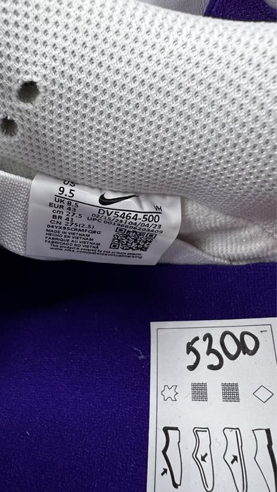 Кросівки Dunk Low SB ‘Purple Suede’