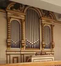 Organy Dominika Biernackiego