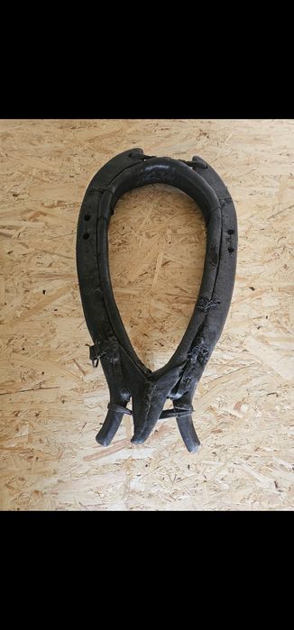 Homonto dla Konia, ozdoba