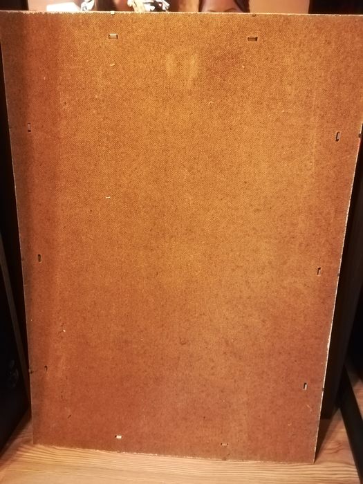 Plecy antyramy 50*70