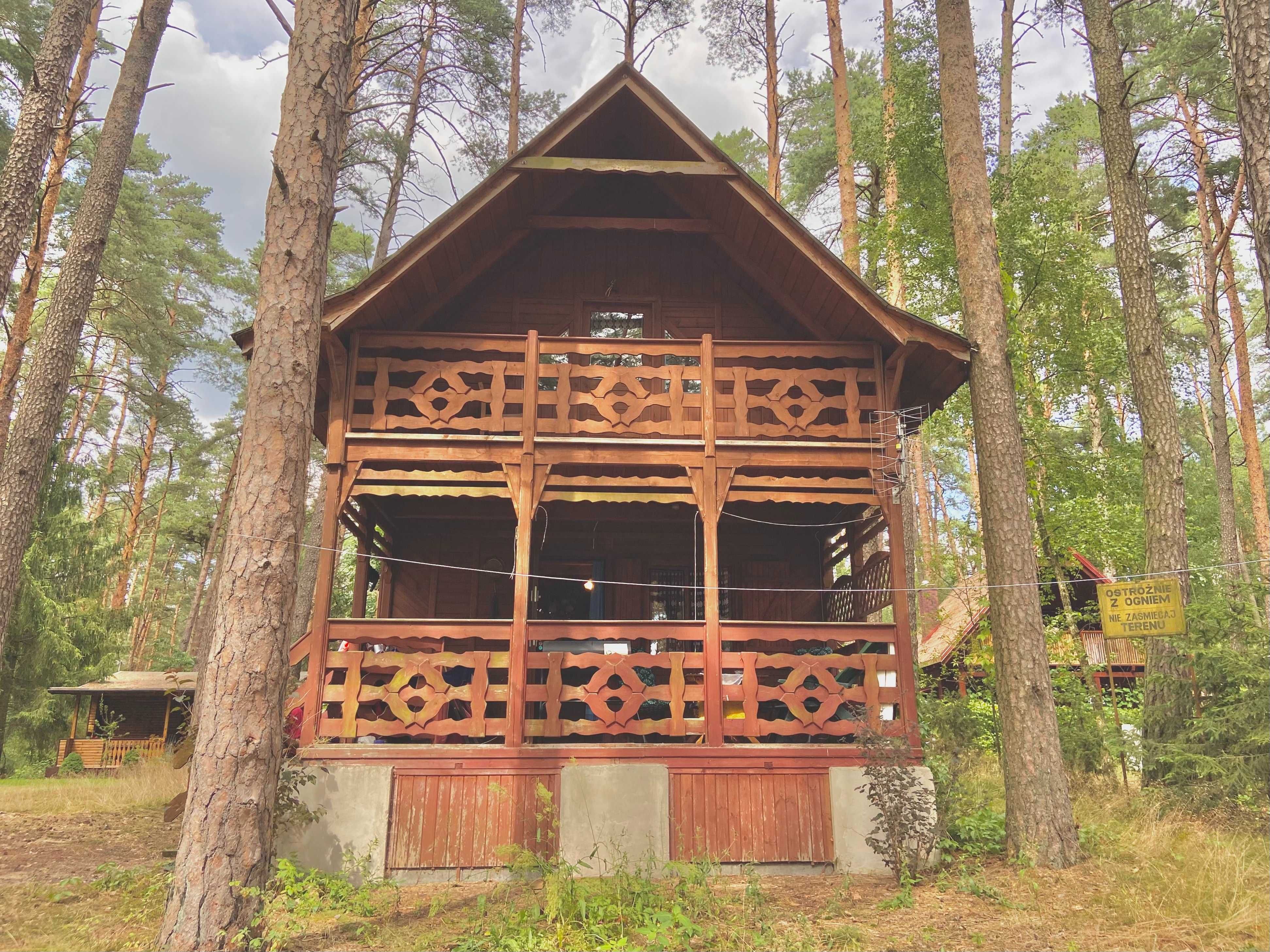 Uroczy domek w sercu lasu nad jeziorem Partęczyny, Warmia - Mazury
