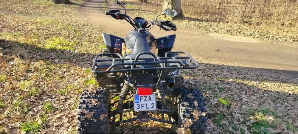 Quad 2018 Bashan 250