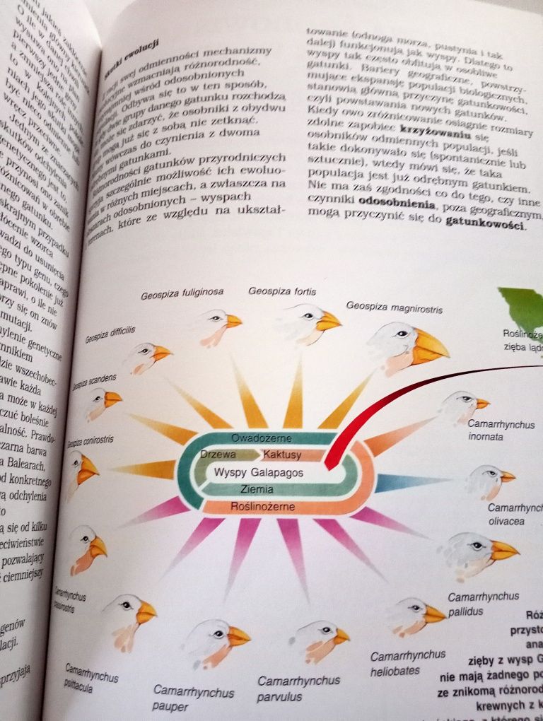 W przyjaźni z przyrodą. Ocalić planetę