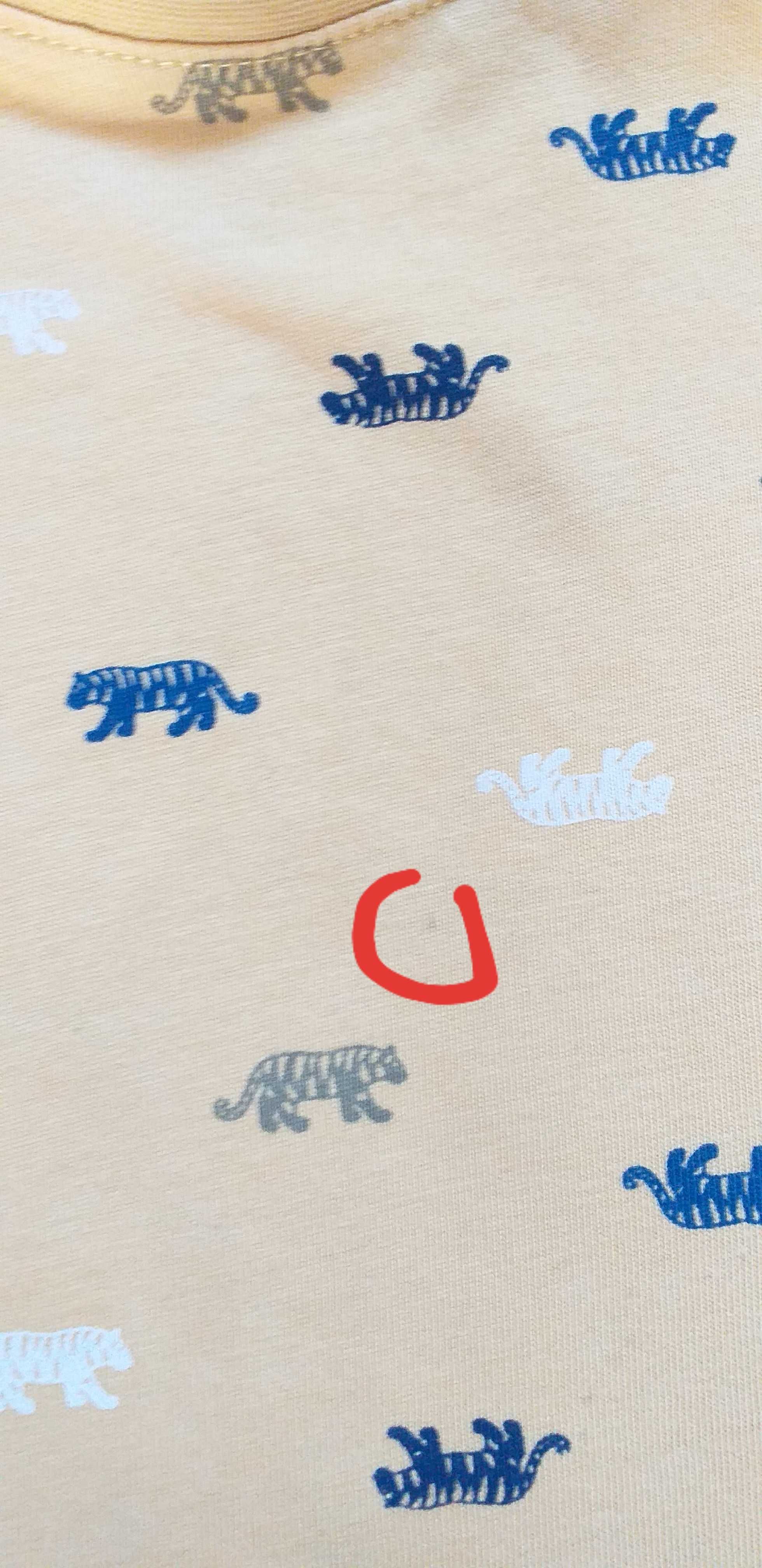 Komplet Lindex na lato krótkie spodenki i t-shirt w tygrysy 86-92